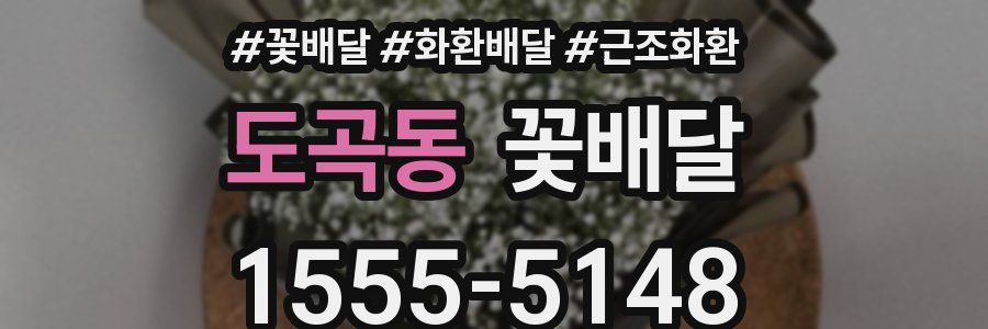 도곡동 꽃배달