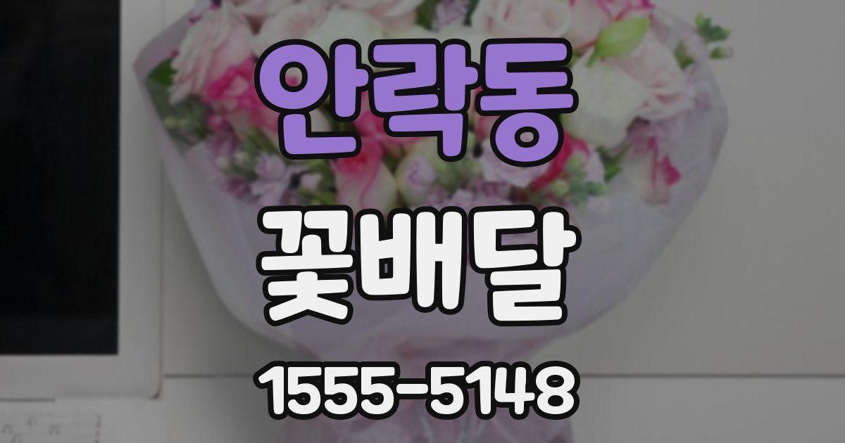 안락동 꽃배달