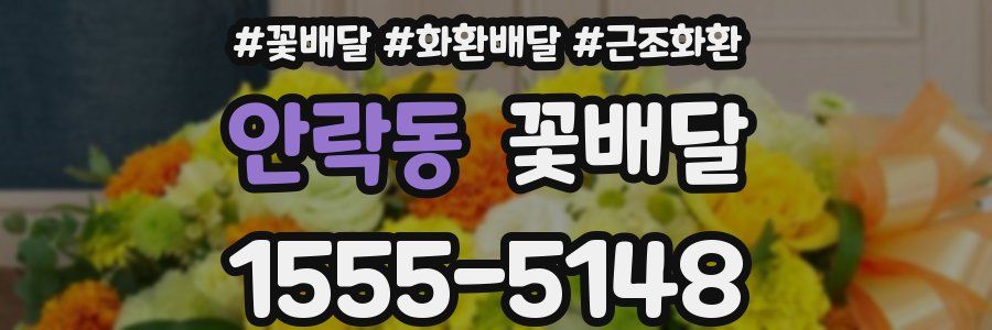 안락동 꽃배달