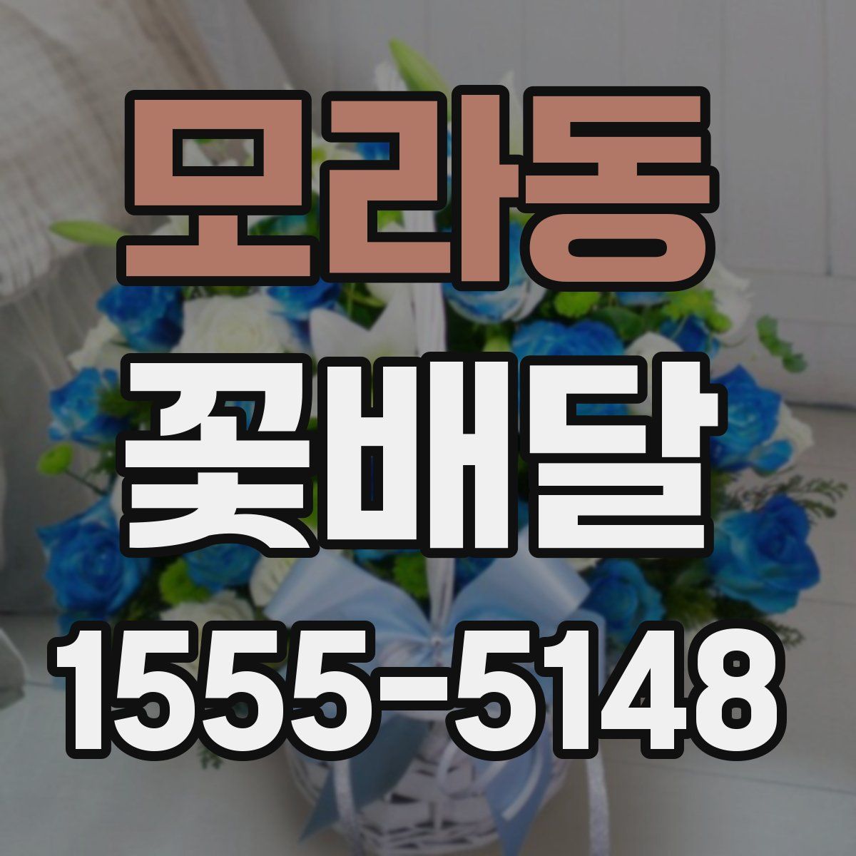 모라동 꽃배달