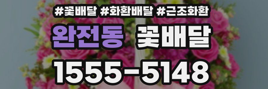 완전동 꽃배달