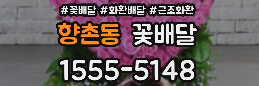 향촌동 꽃배달