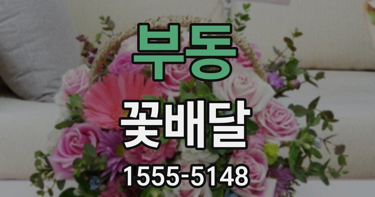부동 꽃배달