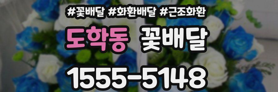 도학동 꽃배달