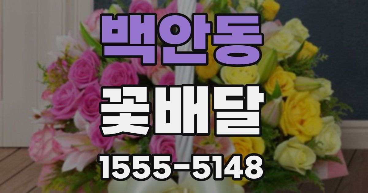 백안동 꽃배달