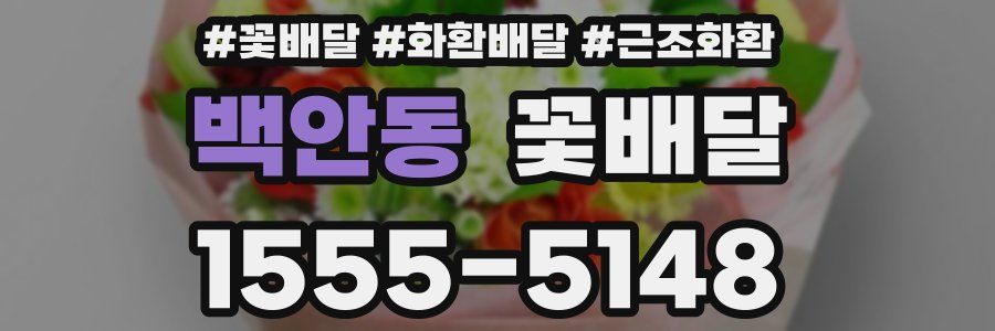 백안동 꽃배달