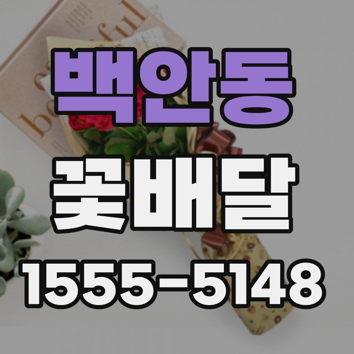 백안동 꽃배달