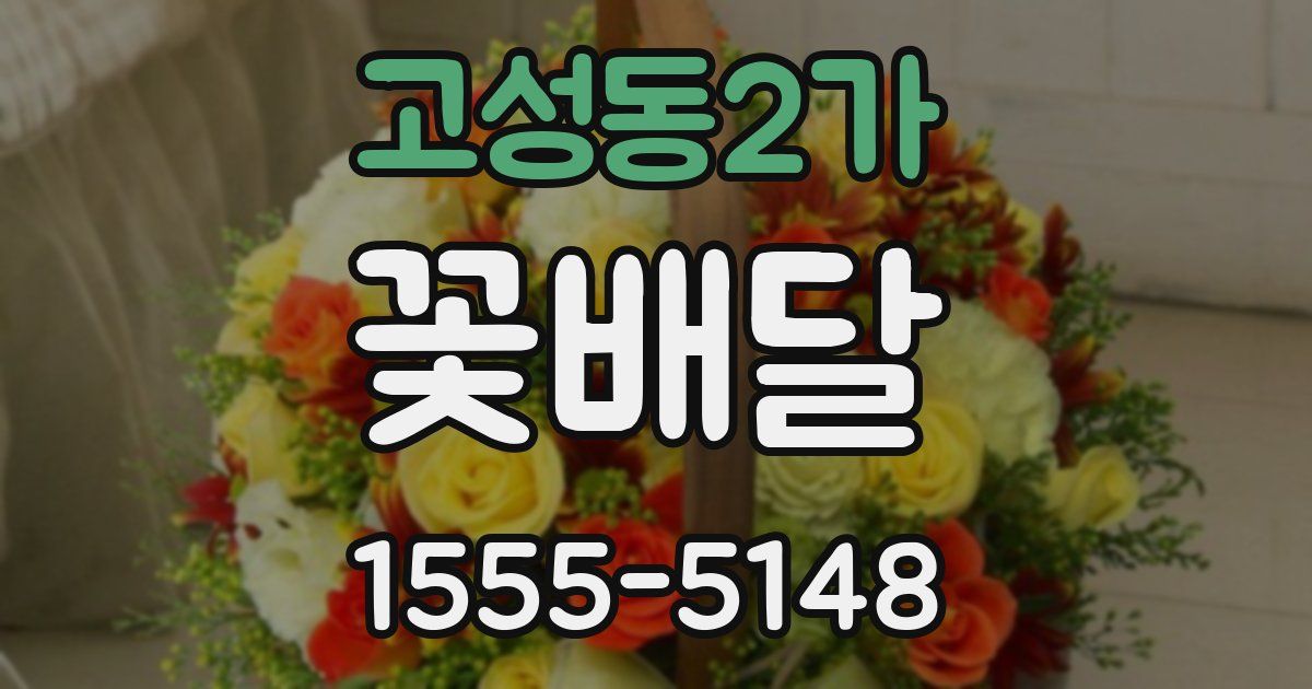 고성동2가 꽃배달