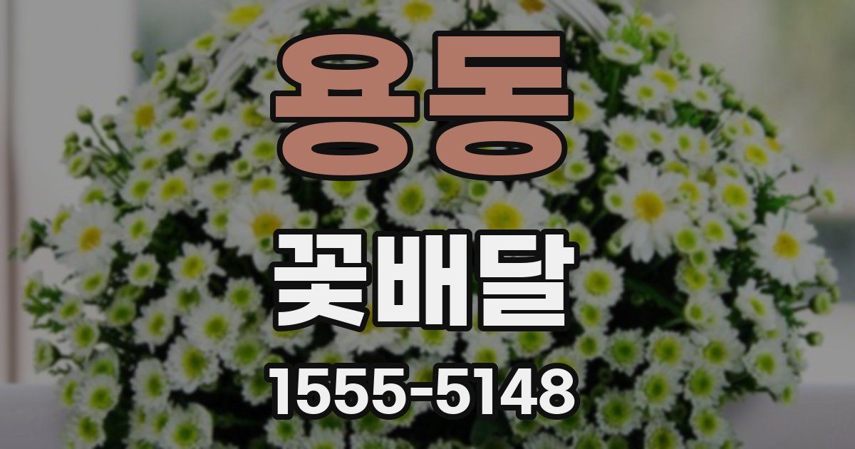 용동 꽃배달