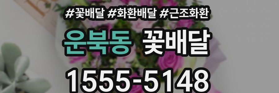 운북동 꽃배달