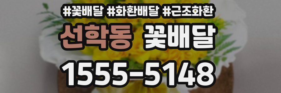 선학동 꽃배달