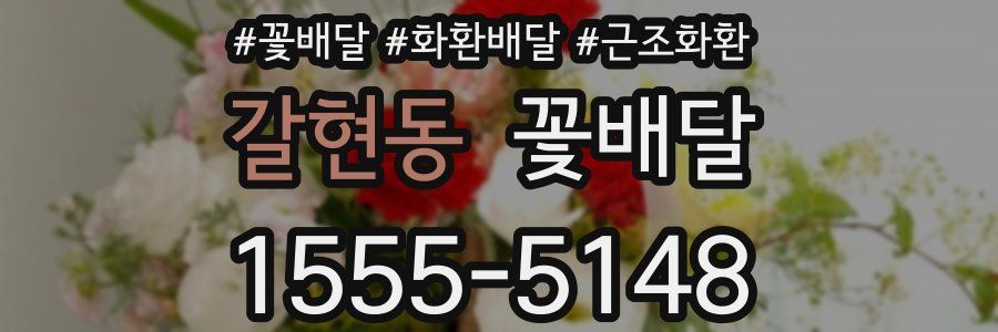 갈현동 꽃배달