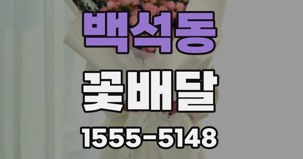백석동 꽃배달