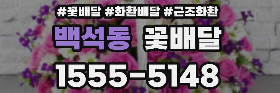 백석동 꽃배달