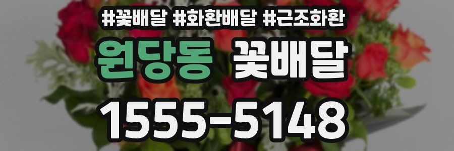 원당동 꽃배달