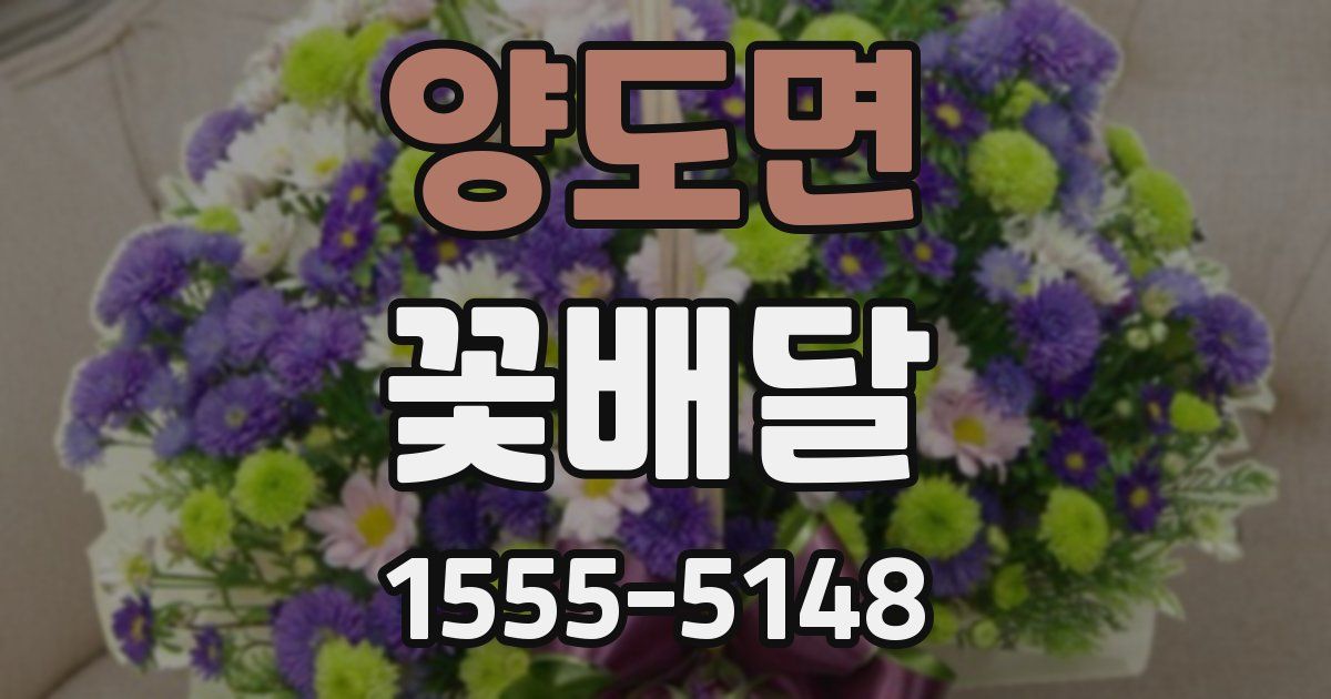양도면 꽃배달