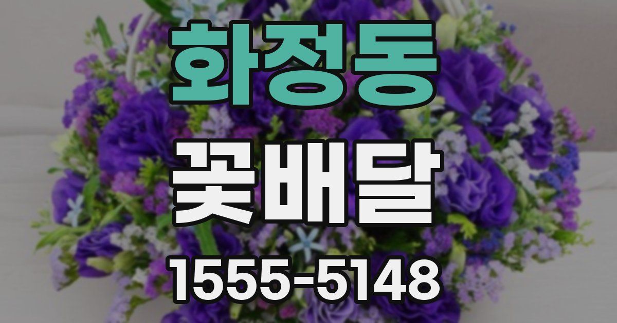 화정동 꽃배달