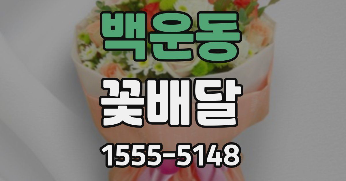 백운동 꽃배달