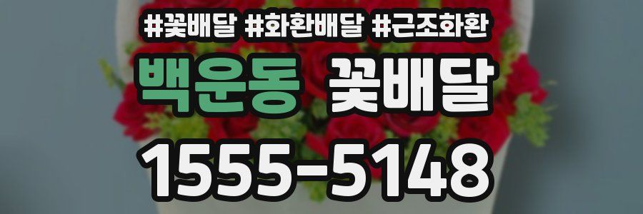 백운동 꽃배달