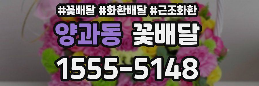 양과동 꽃배달