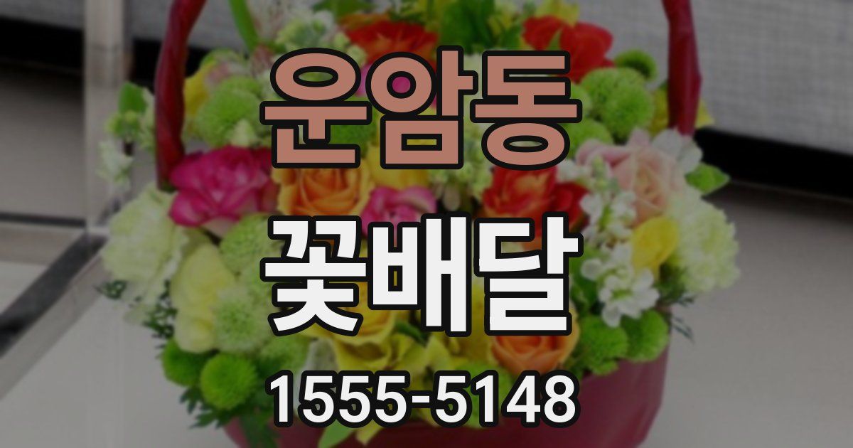 운암동 꽃배달