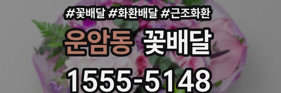 운암동 꽃배달