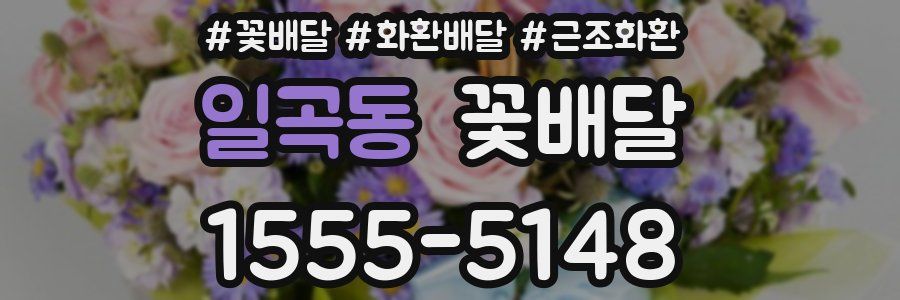일곡동 꽃배달