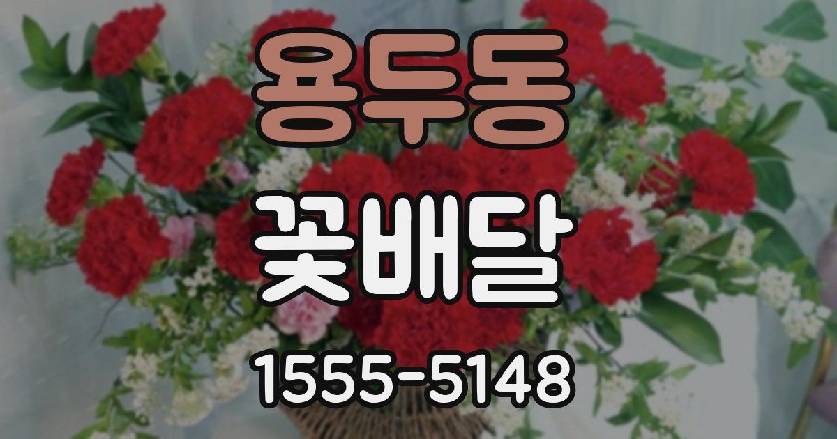 용두동 꽃배달
