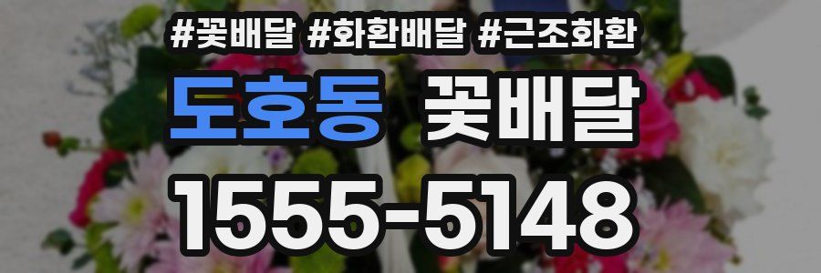 도호동 꽃배달