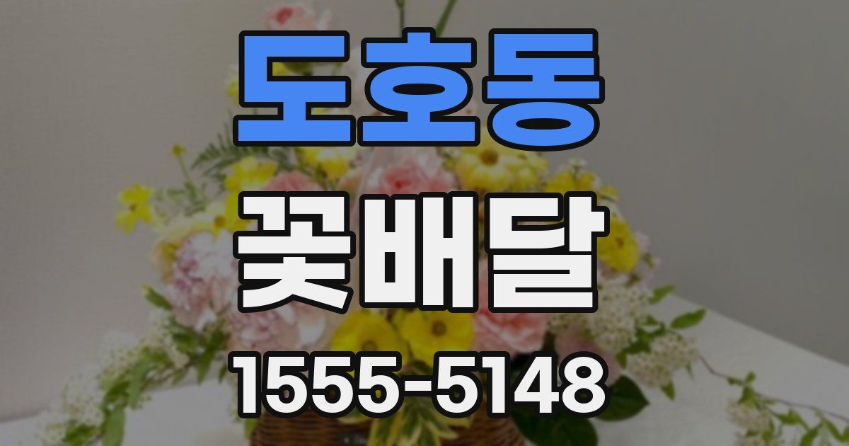 도호동 꽃배달