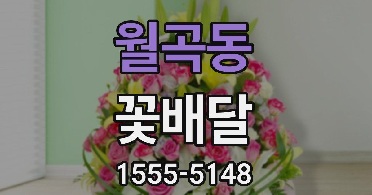월곡동 꽃배달