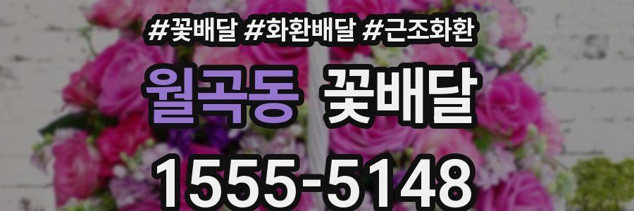 월곡동 꽃배달