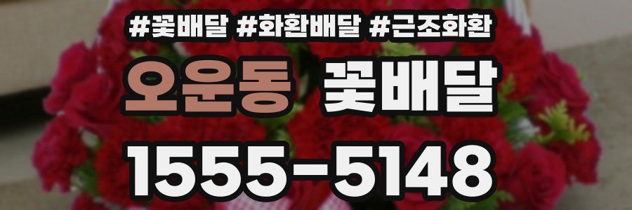오운동 꽃배달