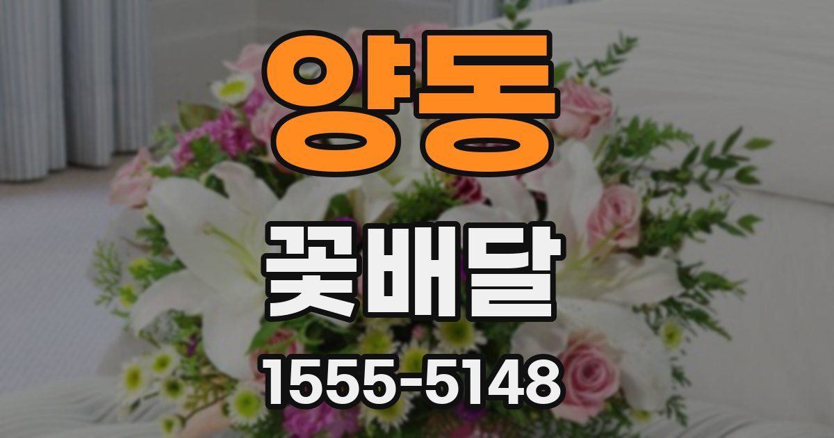 양동 꽃배달