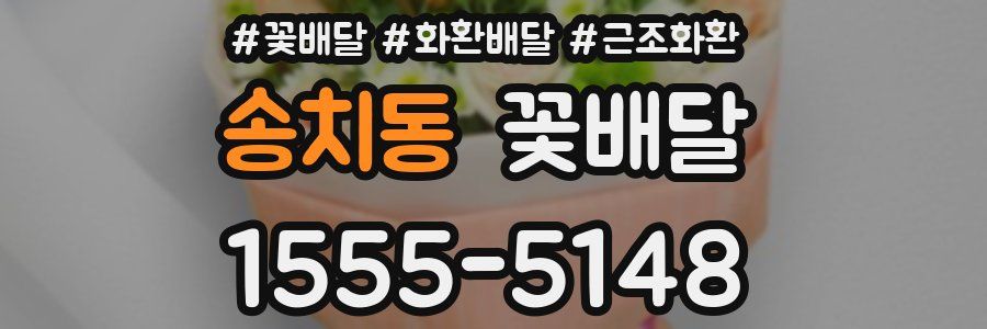송치동 꽃배달