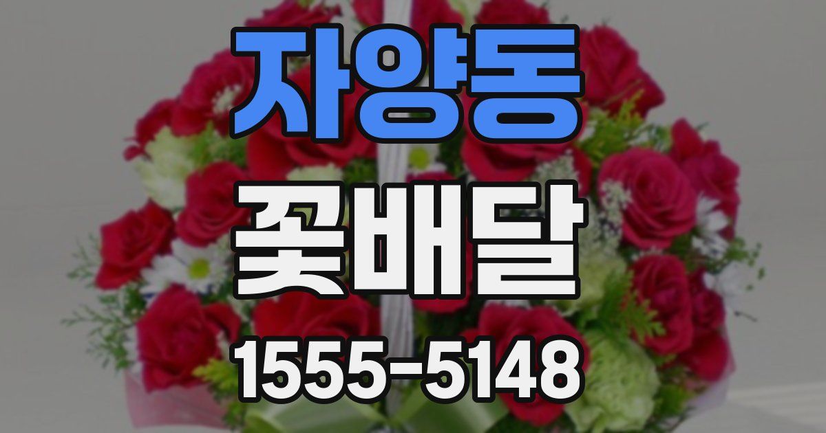 자양동 꽃배달