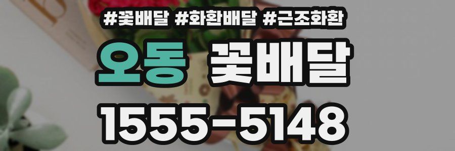 오동 꽃배달