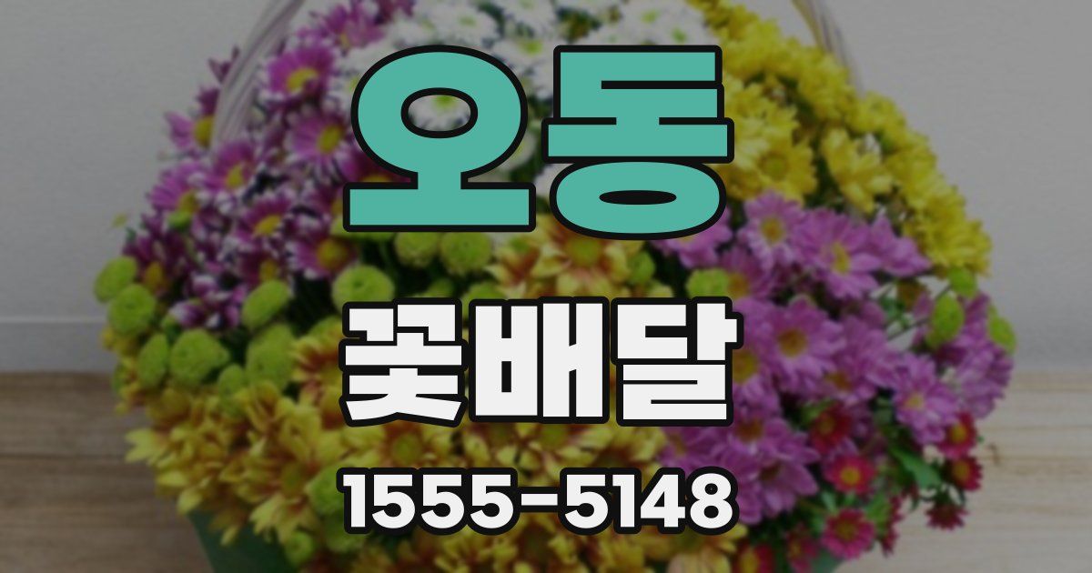 오동 꽃배달