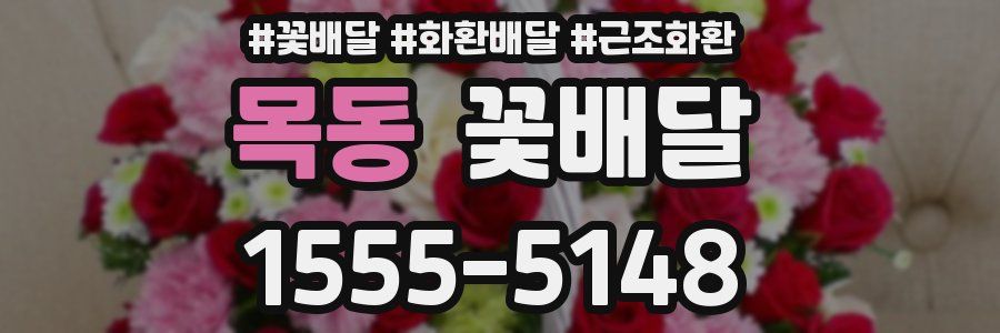 목동 꽃배달