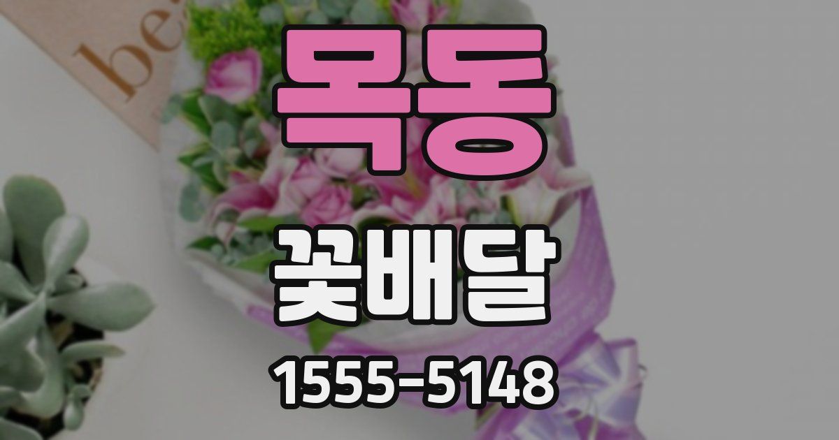 목동 꽃배달