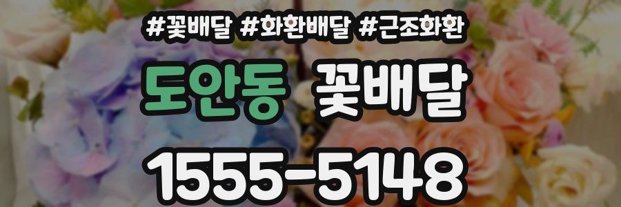 도안동 꽃배달
