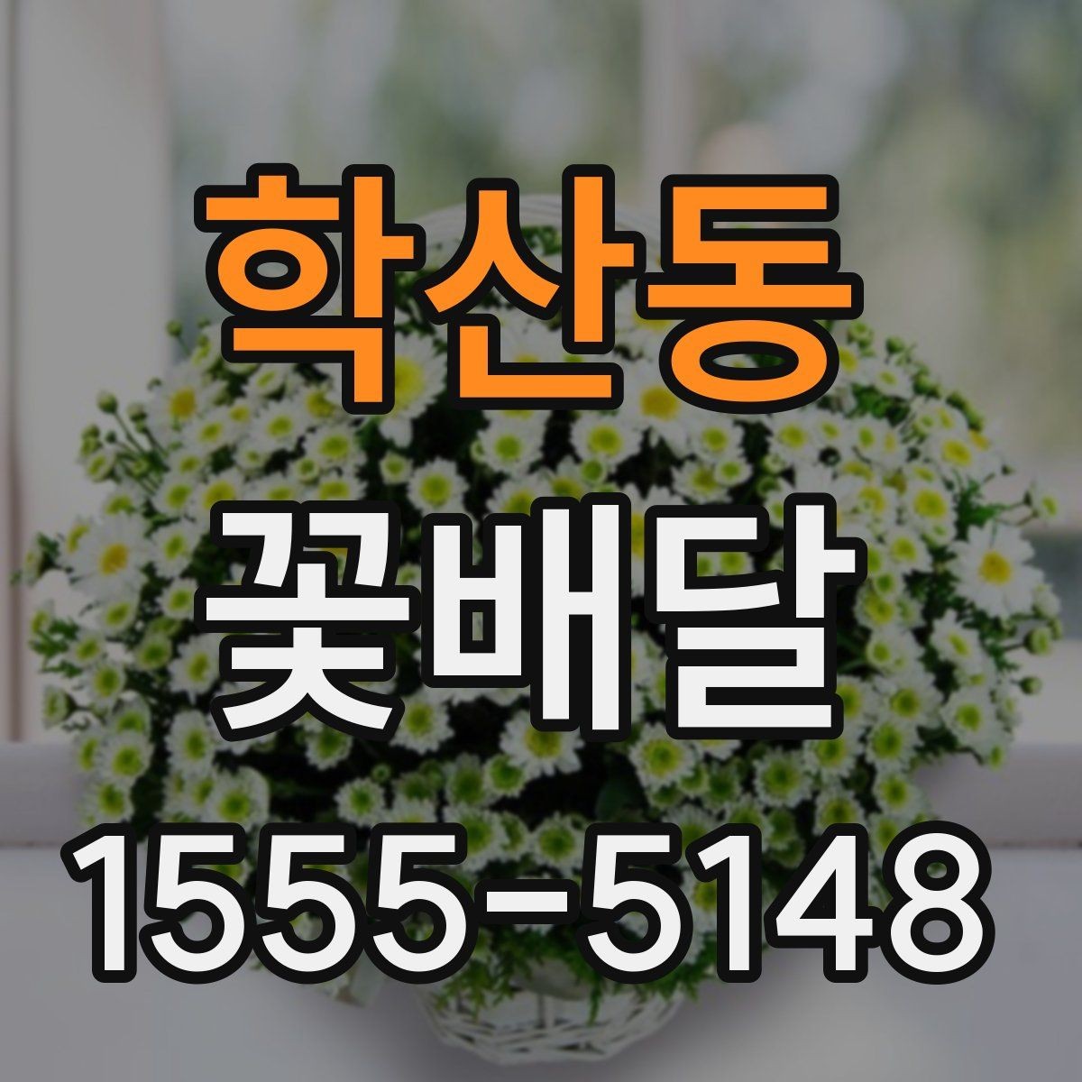 학산동 꽃배달 사진 남기기 좋은 형태는 무엇일까