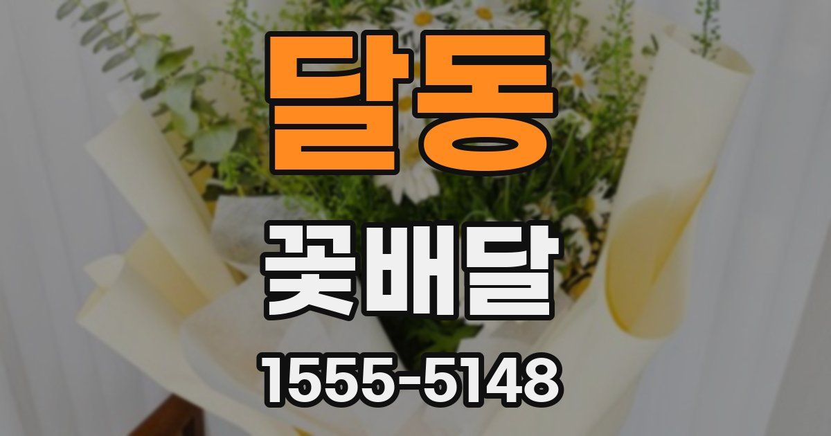 달동 꽃배달