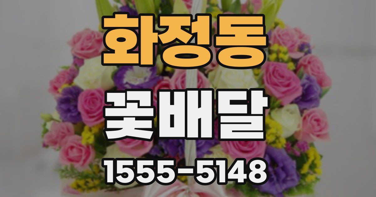 화정동 꽃배달