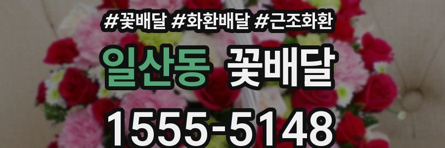 일산동 꽃배달