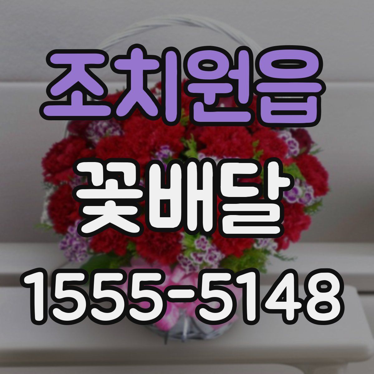 조치원읍 꽃배달