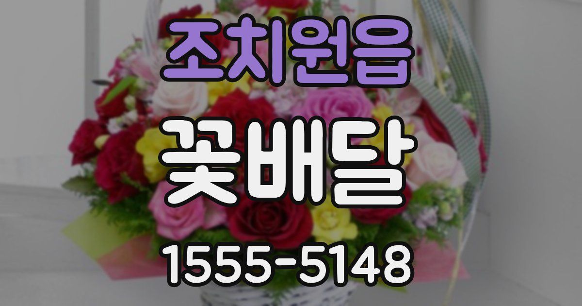 조치원읍 꽃배달