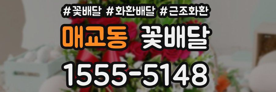 매교동 꽃배달