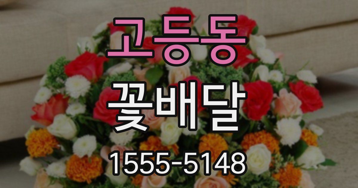 고등동 꽃배달