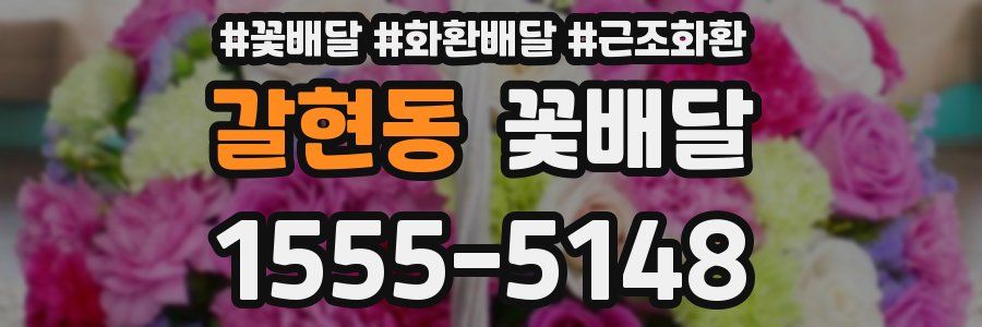 갈현동 꽃배달